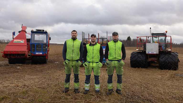 klimatf-r-ndringen-f-rde-danska-takl-ggare-till-korsn-s-finsk-vass
