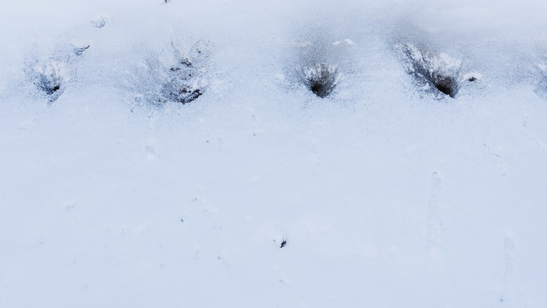 Taulusta läpimenneet luodit jättävät lumeen mustat jäljet.