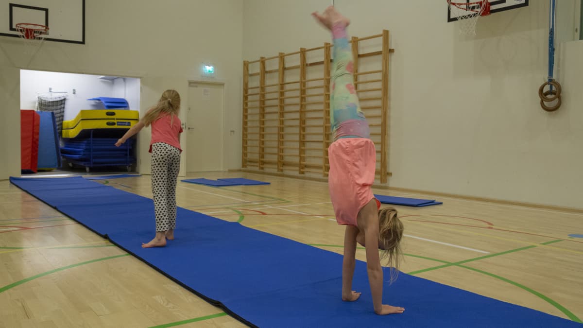 Lasten liikunta / Eevi ja Hilda/ Viikintoimipiste 28.01.2019