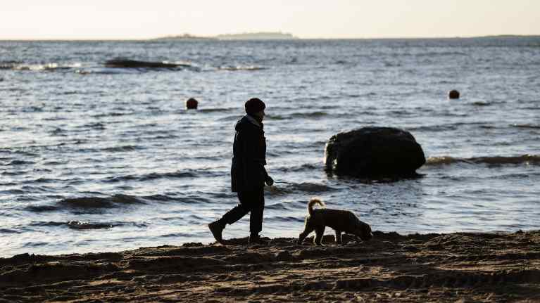 Nainen ulkoilutti koiraa Lauttasaaressa joulukuussa 2020.
