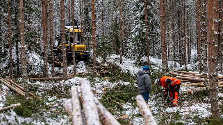Två personer i en vintrig skog (pöusko i Maxmo) där en skogsmaskin i bakgrunden håller på med avverkningen.
