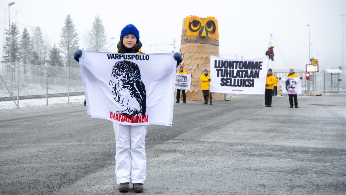 Greenpeacen metsäasiantuntija Oona Käyhkö mielenosoituksessa Metsä Fibren biotuotetehtaalla Kemissä.