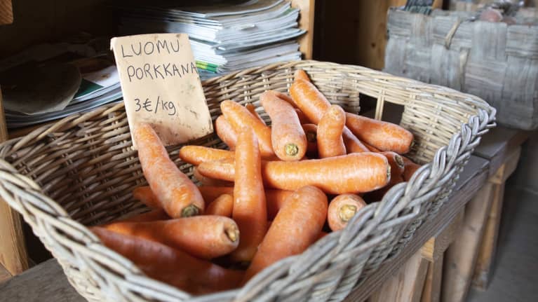 Morötter ligger i en korg. I korgen finns en prislapp det står "Ekomorötter, 3 euro per kilogram".