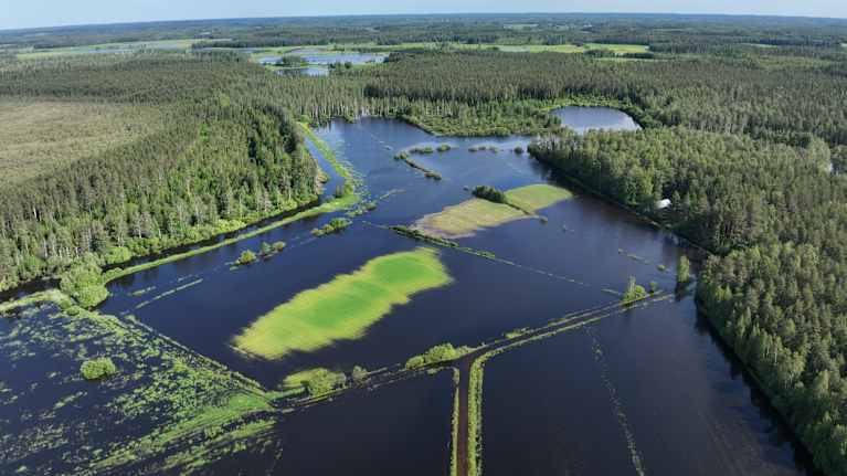 Luumäellä satoi kesäkuussa pelloille syntynyt järvi ei ole vieläkään
