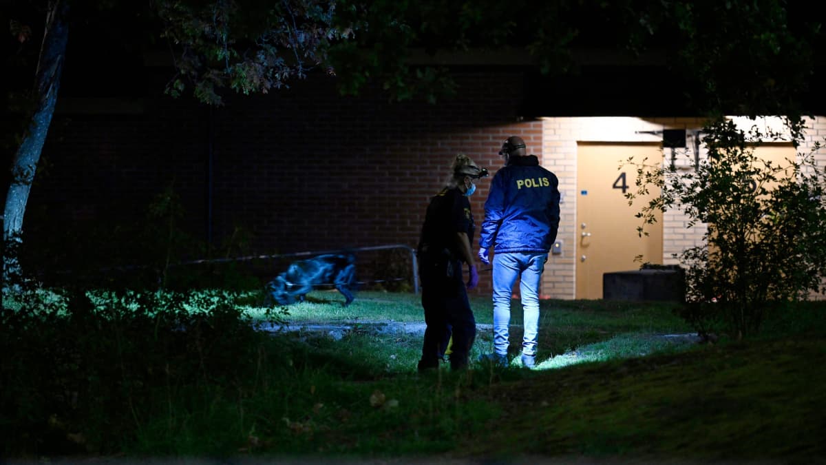 Kaksi poliisia ja poliisi koira kulkevat otsalamppujen valossa rakennuksen edustalla.