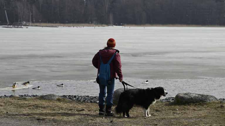 Koiraa ulkoiluttava ihminen katsoo meren jäälle.
