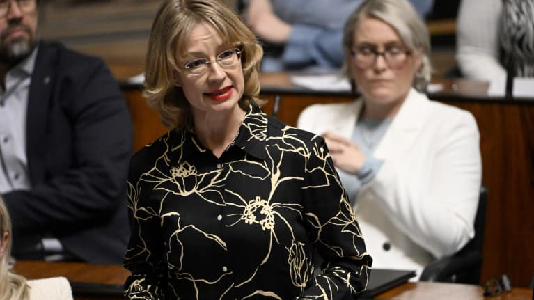 Tytti Tuppurainen eduskunnan kyselytunnilla.
