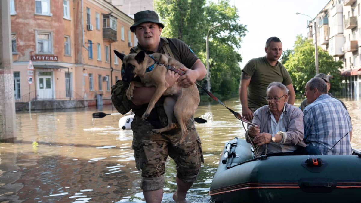 Sotilas auttaa evakuoimaan ihmisiä ja koiraa tulvan valtaamalla kadulla.