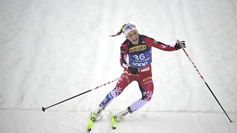 Nils Jakob Hoff