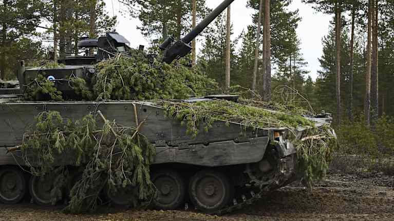 A military tank partially camouflaged in evergreen branches in a forest.