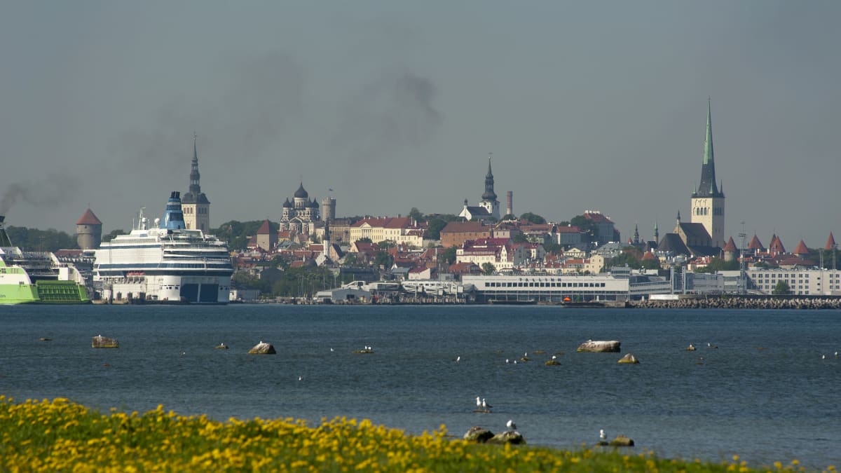 Tallinnan kaupungin siluetti mereltä päin nähtynä.