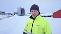 Man i reflexjacka står på en gård.