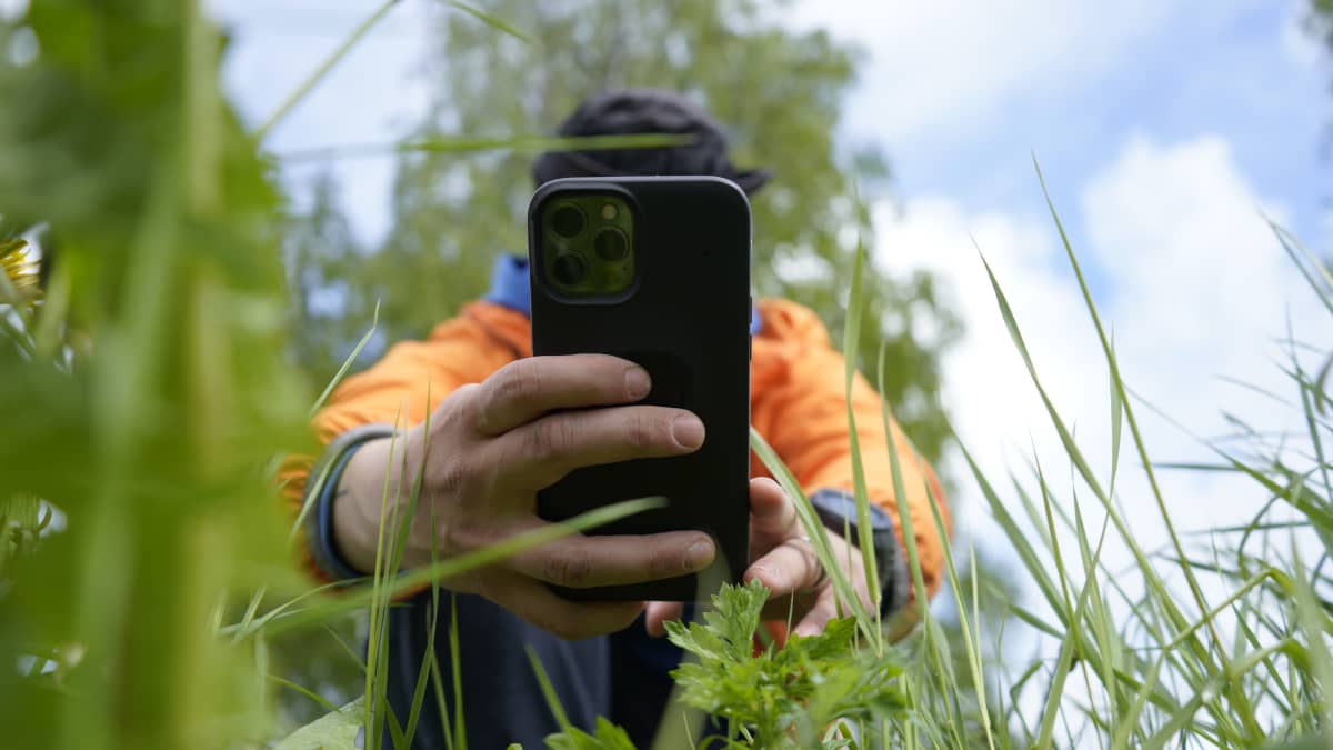 Henkilö osoittaa puhelimen kameralla kohti kasveja.