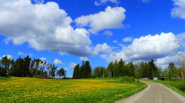 Taivas on kirkkaan sininen, ja sitä täplittävät valkoiset poutapilvet. Etualalla keltainen voikukkaniitty loistaa auringonpaisteessa, ja hiekkatie kulkee niittynä reunustavan vehreän metsän ohi.