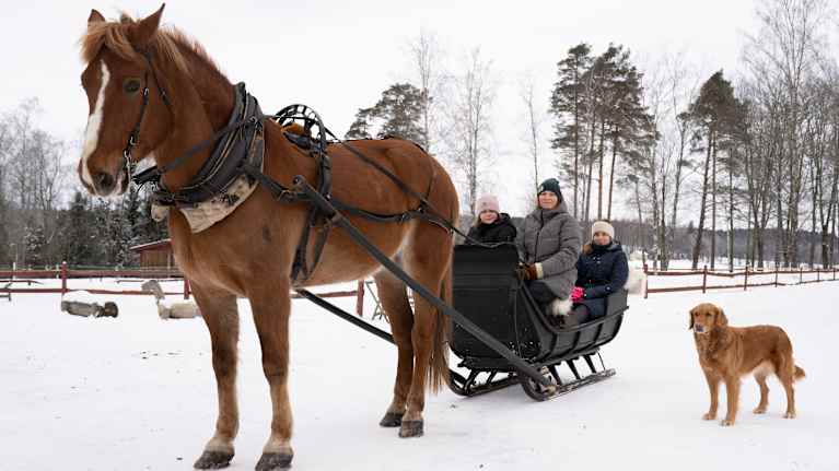Sportlov varje vecka på Rilax gård i Bromarv - livsstil news from Yle