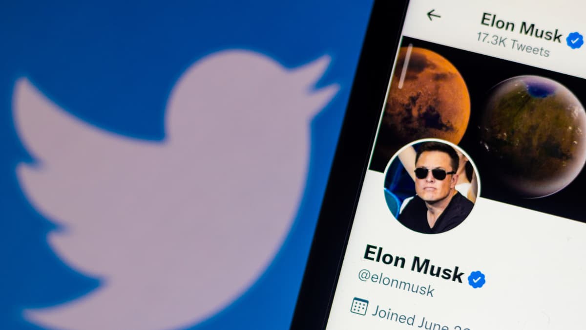 Kuvan vasemmassa reunassa näkyy Twitterin logo. Oikeassa reunassa näkyy puhelimen näyttö, jossa on esillä Elon Muskin Twitter-profiilikuva ja nimi.