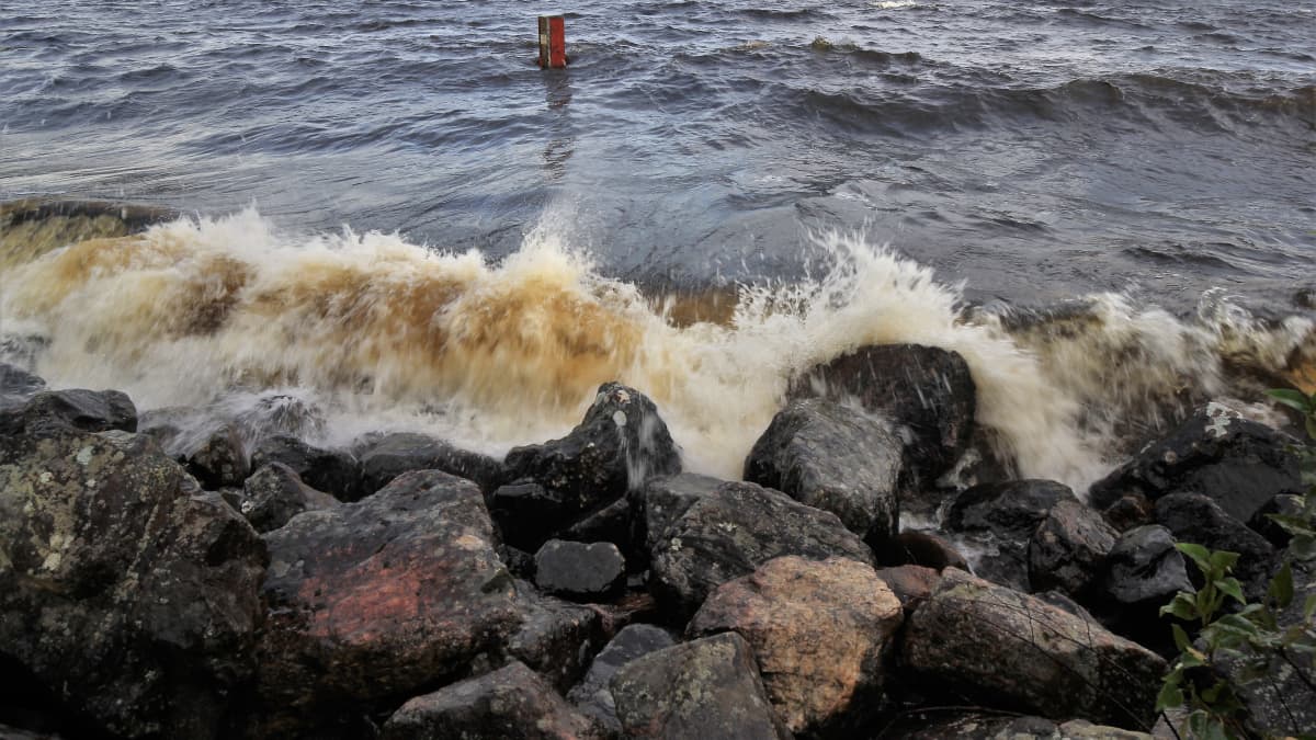Tuulinen päivä Oulujärvellä. Vaahtopäitä ja aallot lyövät rantaan.