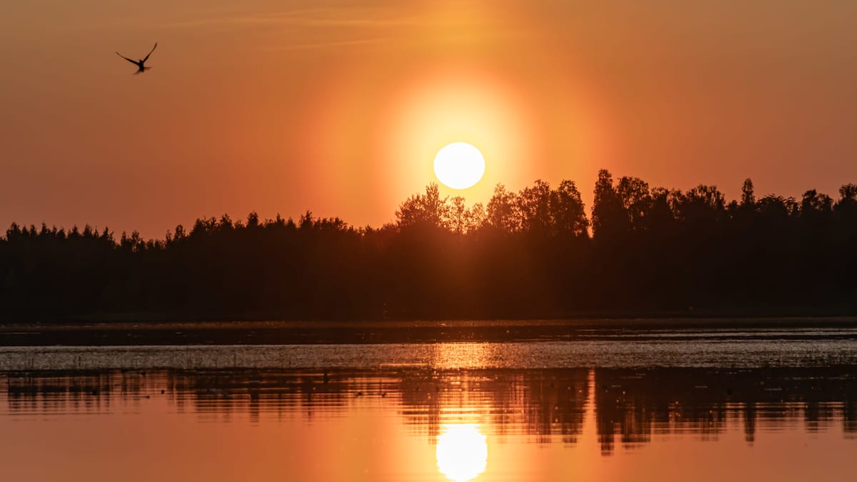 Näyttävä iltarusko. Järvimaisemaa, metsää ja lintu. 