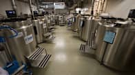 Gene banks in the Biomedicum gene bank.