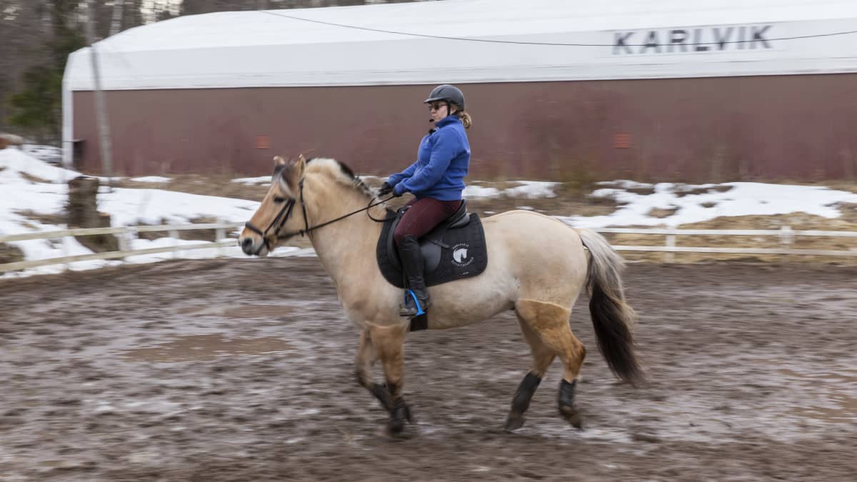 Jenny Kärkkäinen, vammaisurheilija, ratsastaja, hevonen, Karlvikin ratsastustallit, FAS-diagnoosi 