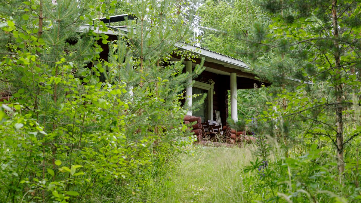 A summer cottage obscured by vegetation. 