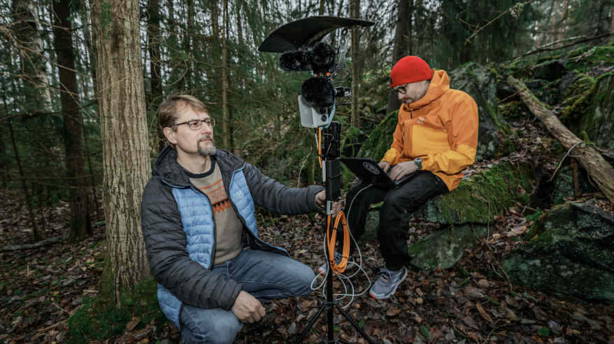 Ari Lehtiö  ja Otso Ovaskainen metsässä tutkimuslaitteen äärellä.