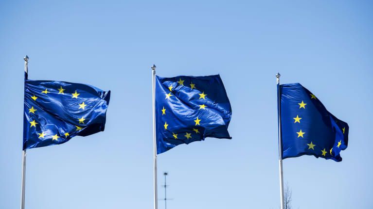 У дні підняття прапора поряд із державним почнуть підіймати прапор ...