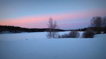 Kylmän kuulas ja selkeä aamu. Maisema pellon yli järvelle. Lunta. 