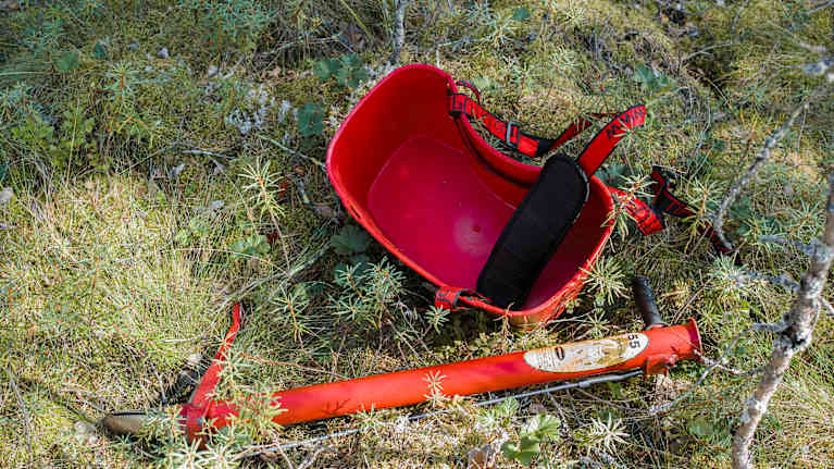 Kuvassa on punainen pottiputki ja taimisanko metsäisessä ympäristössä.