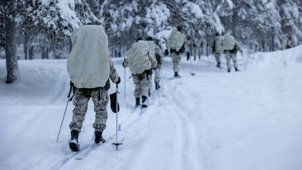 Sotilaita hiihtämässä Sodankylän Jääkäriprikaatin järjestämällä talvisodankäynnin kurssilla 2024.
