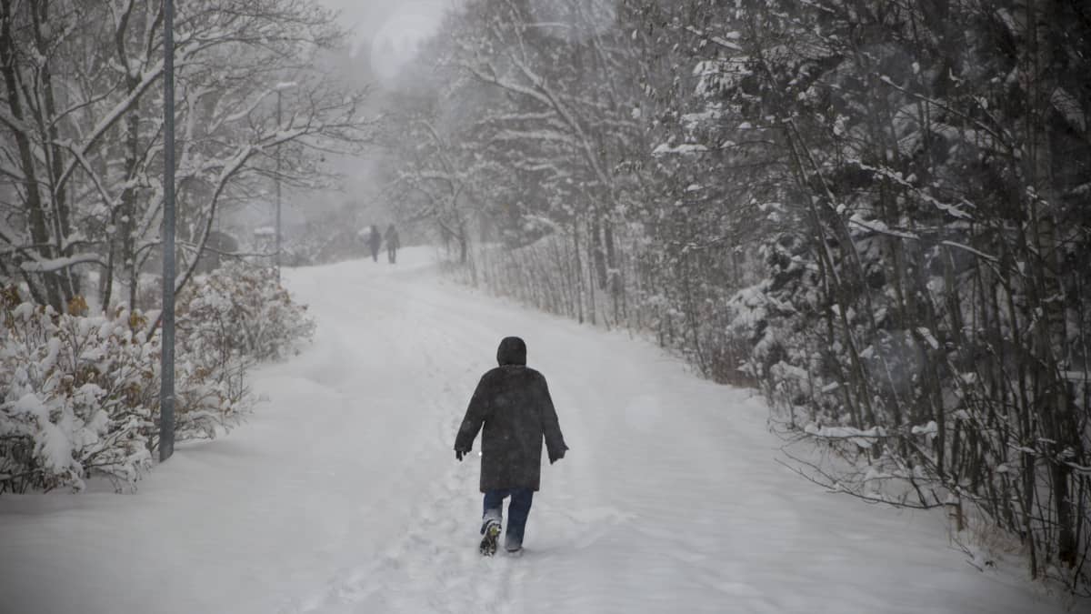 Kävelijöitä lumisessa puistossa lumisateella.