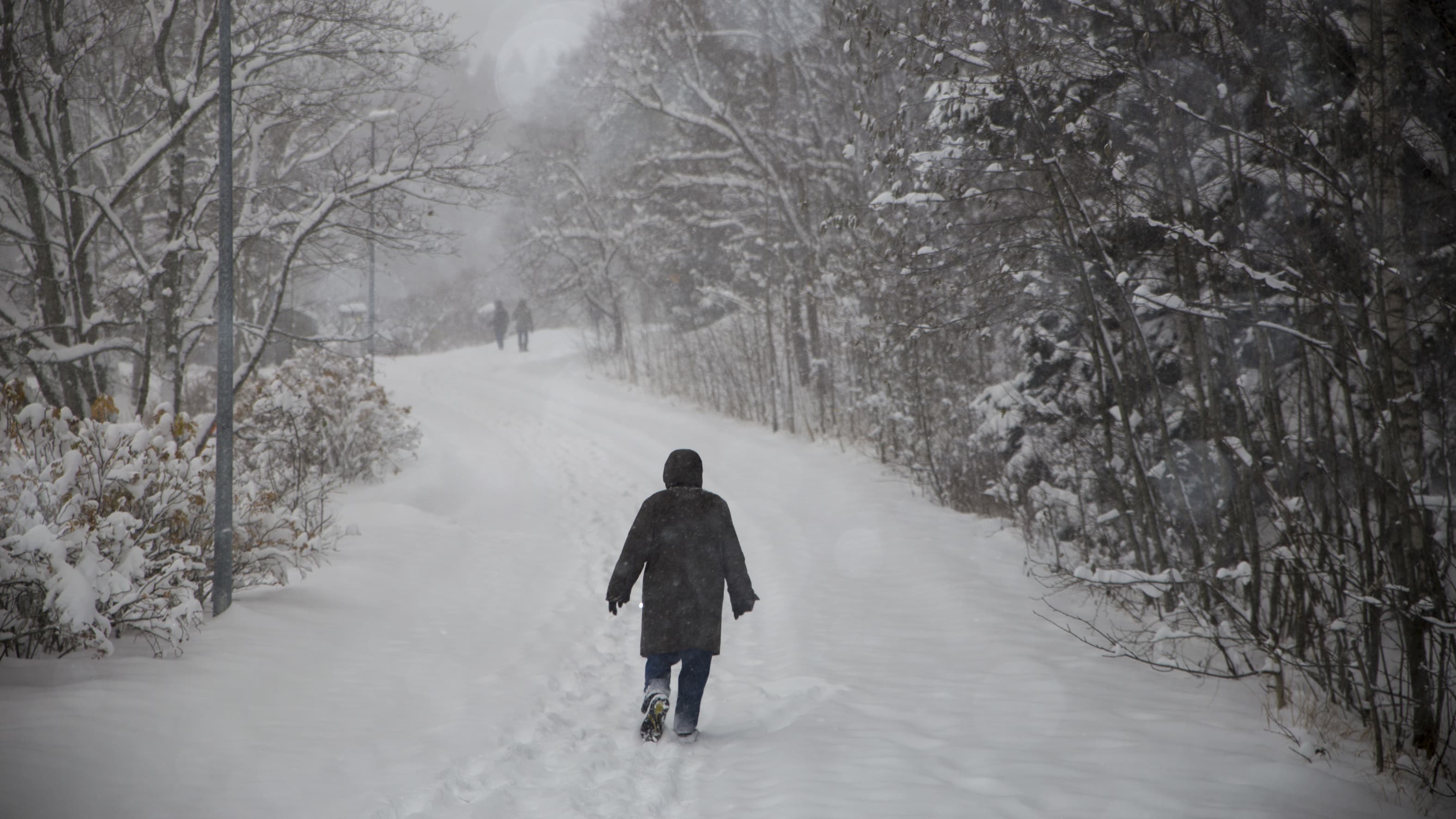 How to fend off the wintertime blues and stay active outside