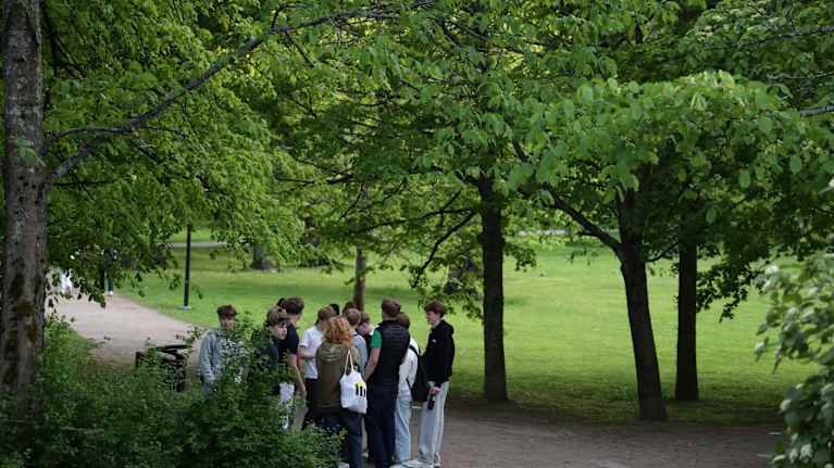 A group of young people​ stand​ in the park.