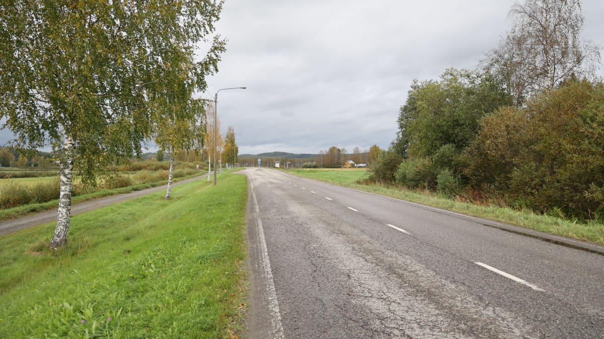 Maantie halkoo Värtsilän kylää.