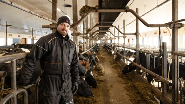 Markus Heinonen seisoo navetassaan. Kymmenet lehmät syövät taustalla rehua.
