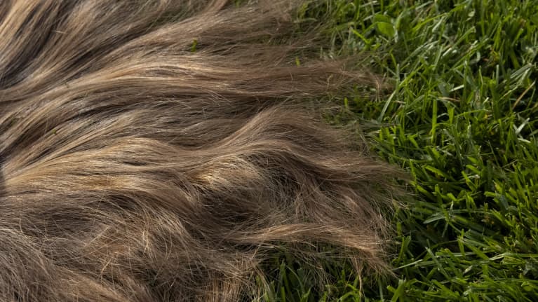 Hiukset levällään nurmikolla. 