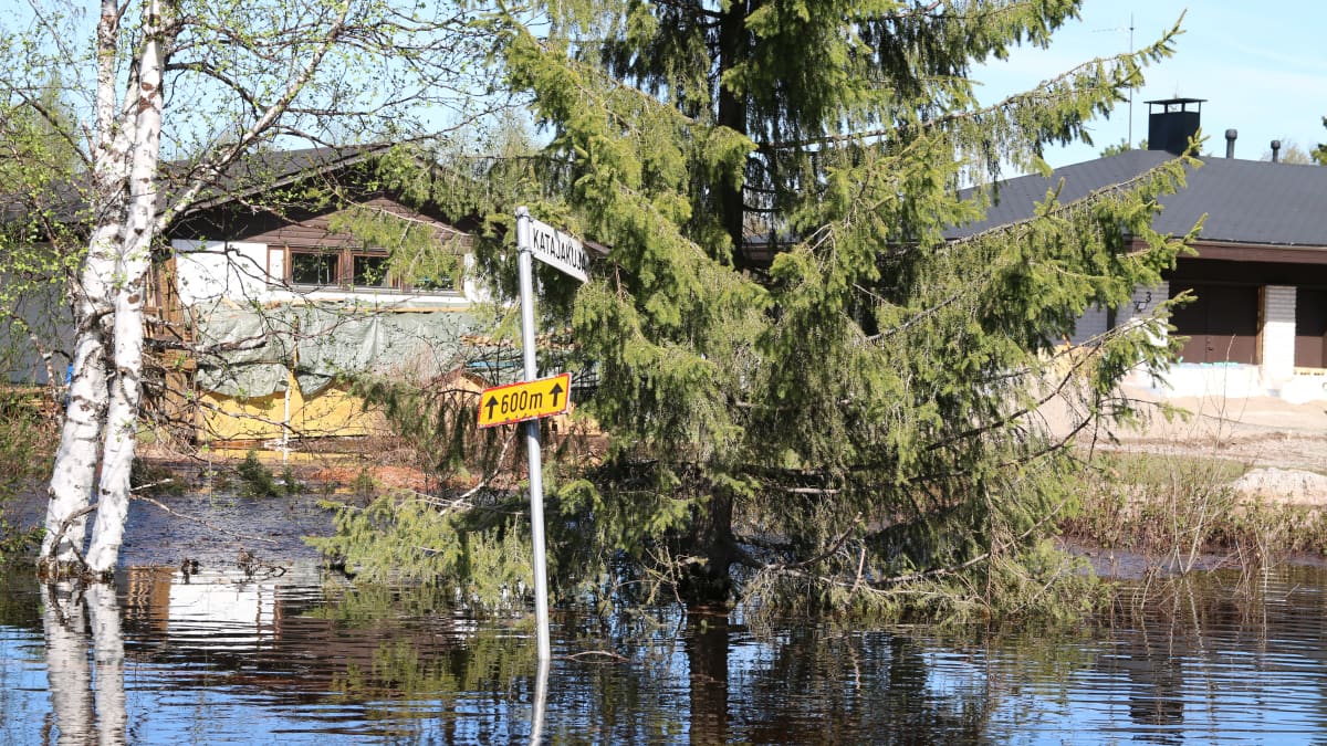 Katajakuja tulvan vallassa