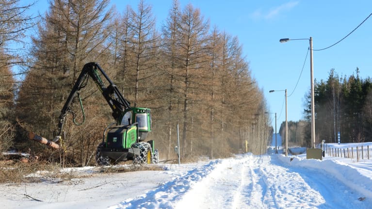 Metsäkone raivaa puita lumisen maiseman keskellä.