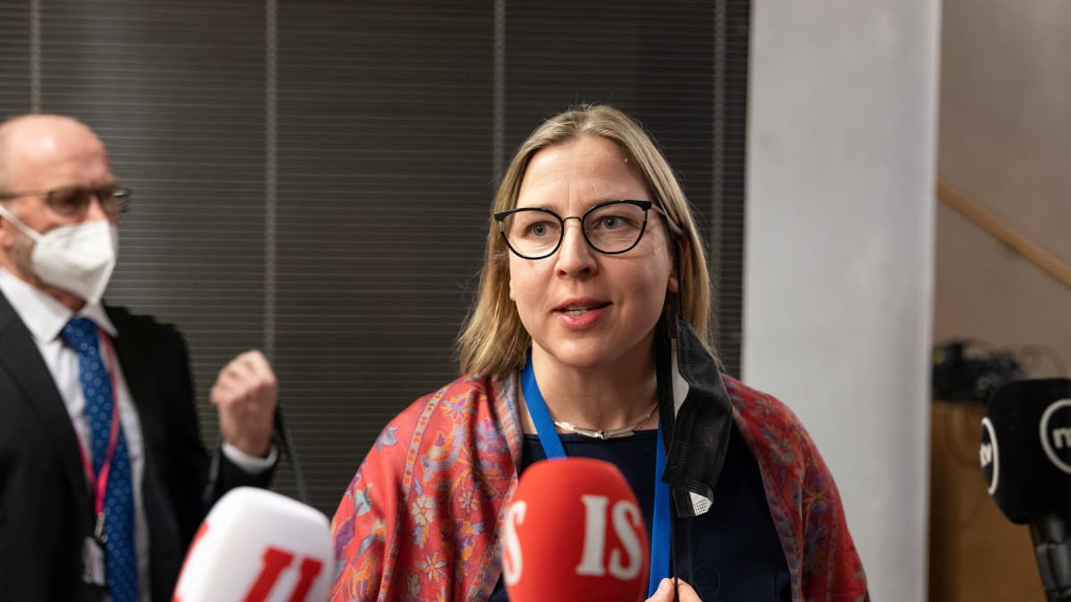 Tytti Yli-Viikari suureen valiokuntaan kuultavaksi.