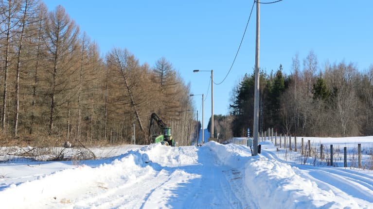 Metsäkone raivaa puita lumisen maiseman keskellä.
