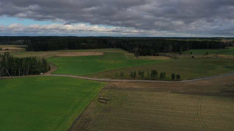 En åker med skog omkring. 