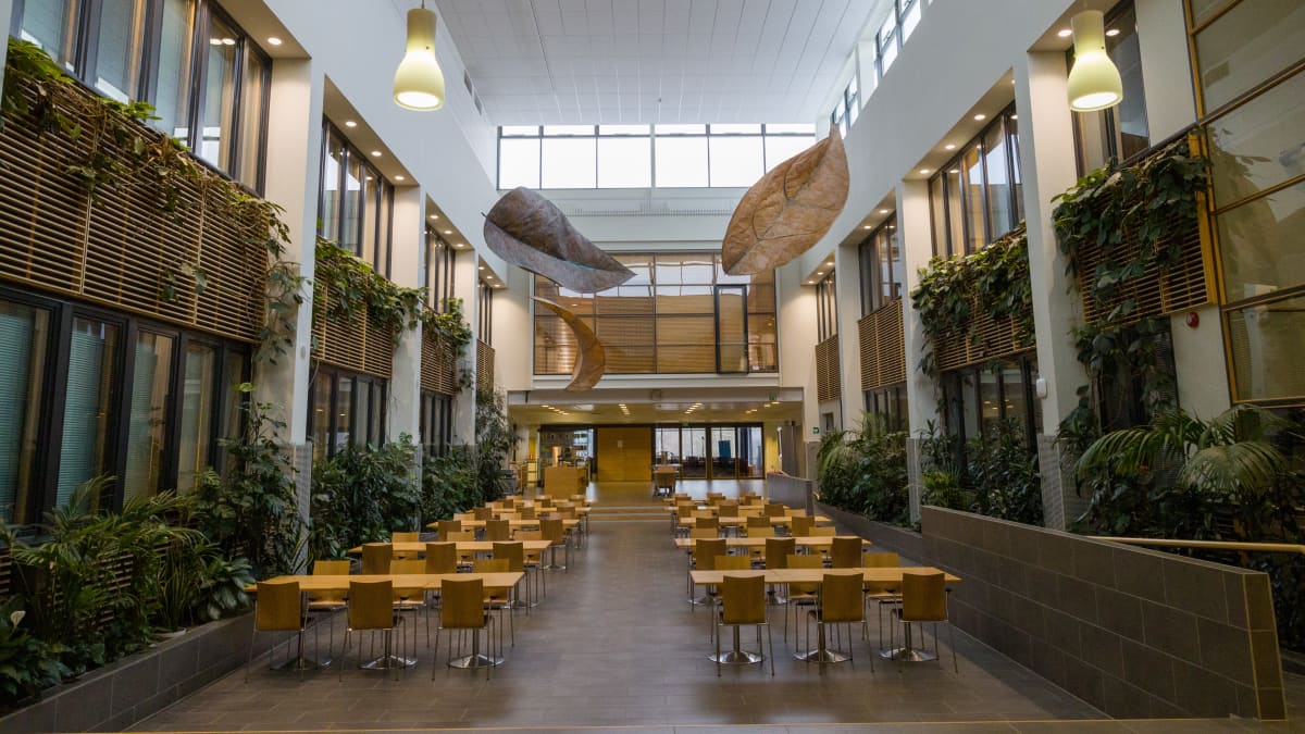 Ylöjärven kaupungintalo, sisäaula