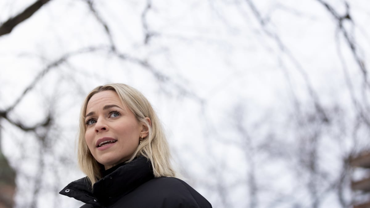 Paula Vesala henkilökuva