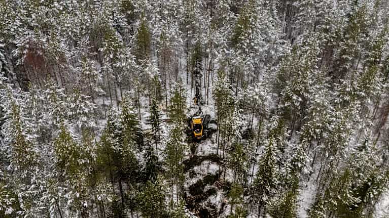 En vintrig skog fotad från luften med en skogsmaskin mitt i skogen.