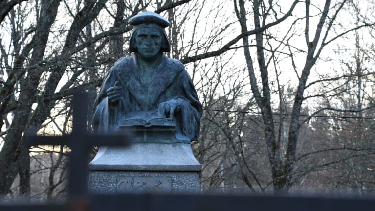 Сегодня отмечают День финского языка | Yle Novosti | Yle