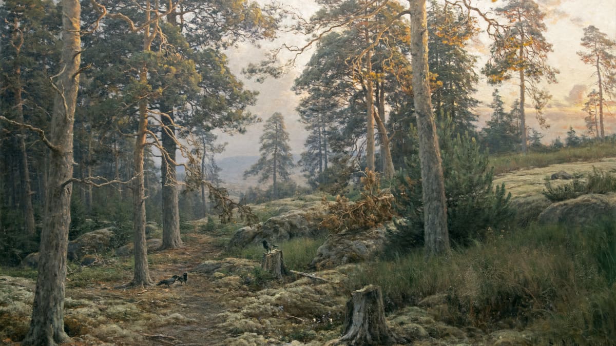 Berndt Lindholmin Ilta metsässä -maalauksessa metsäpolulla kaksi varista, ympärillä hämyisä, mäntyjä kasvava kallio- ja kangasmaasto.