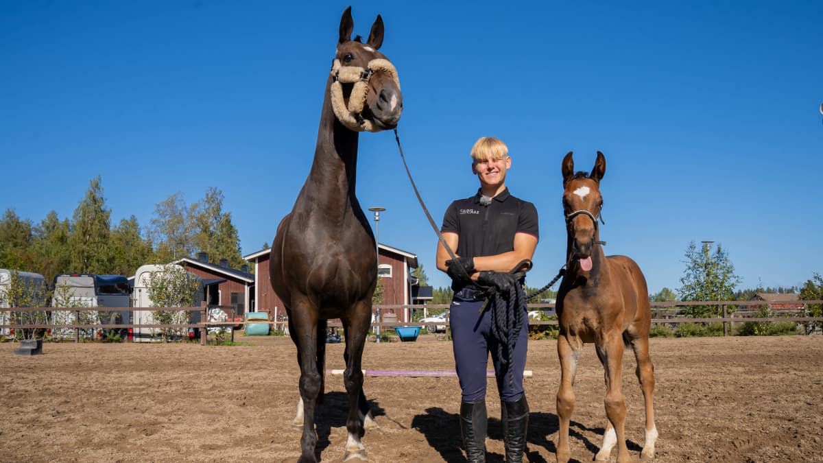 Kenttäratsastaja Arvi Martikainen kuvattuna Sessa-hevosen ja Valle-varsan kanssa ratsastustallilla Orimattilassa.