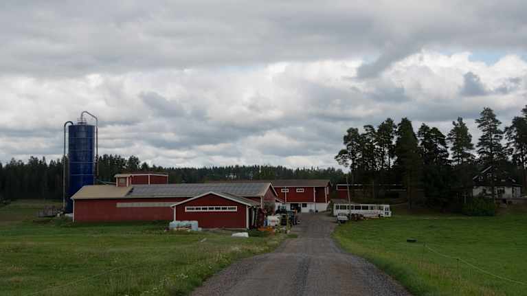 Ladugård och hus vid en åker i Paipis. 
