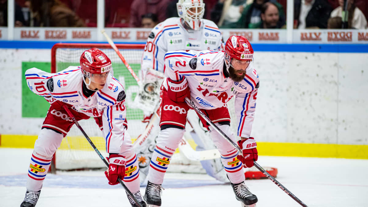Timrån pelaajia SHL:ssä syksyllä 2022.