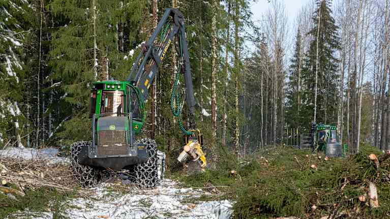 Två skogsmaskiner arbetar i en granskog.